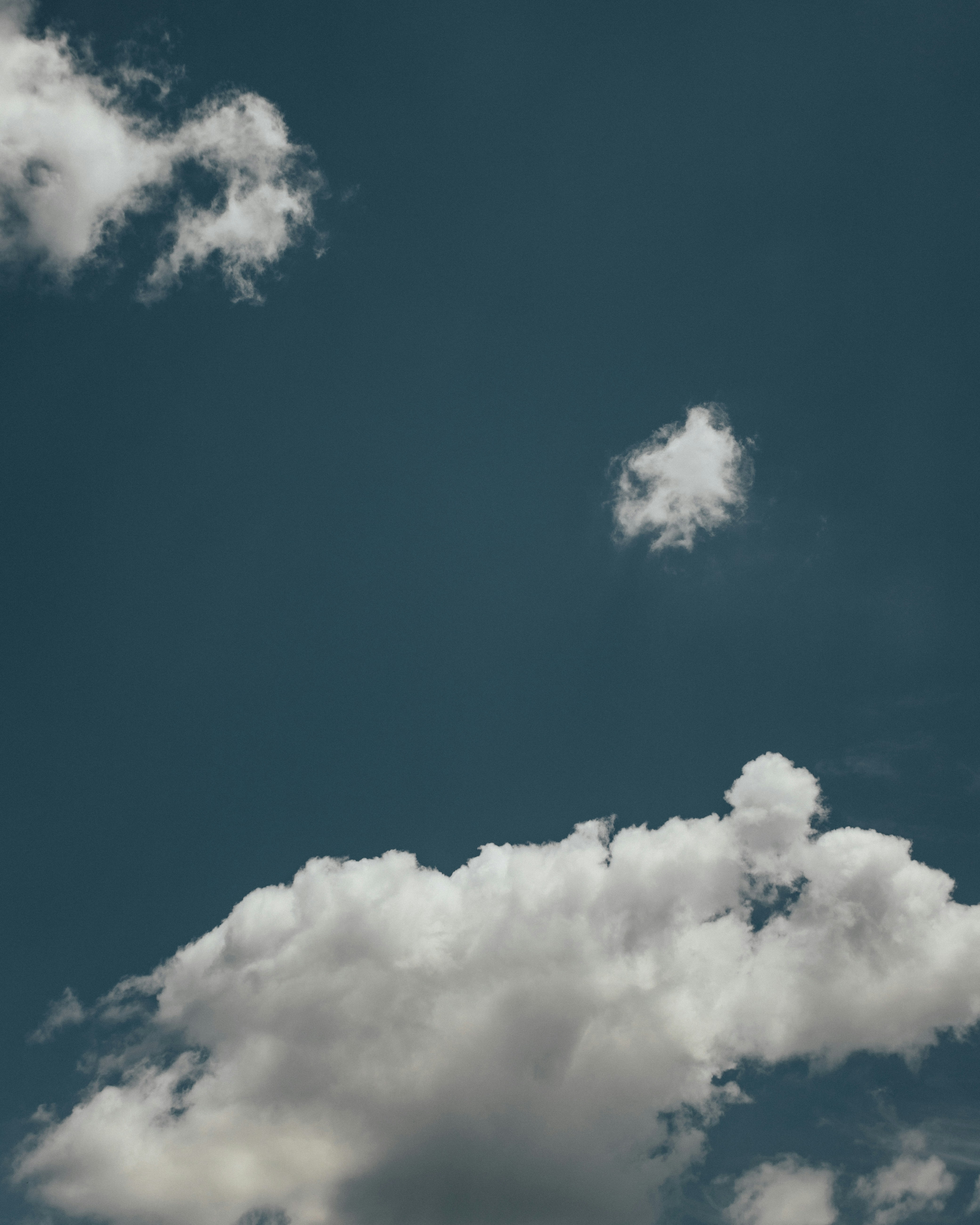 Photo by davidguliciuc