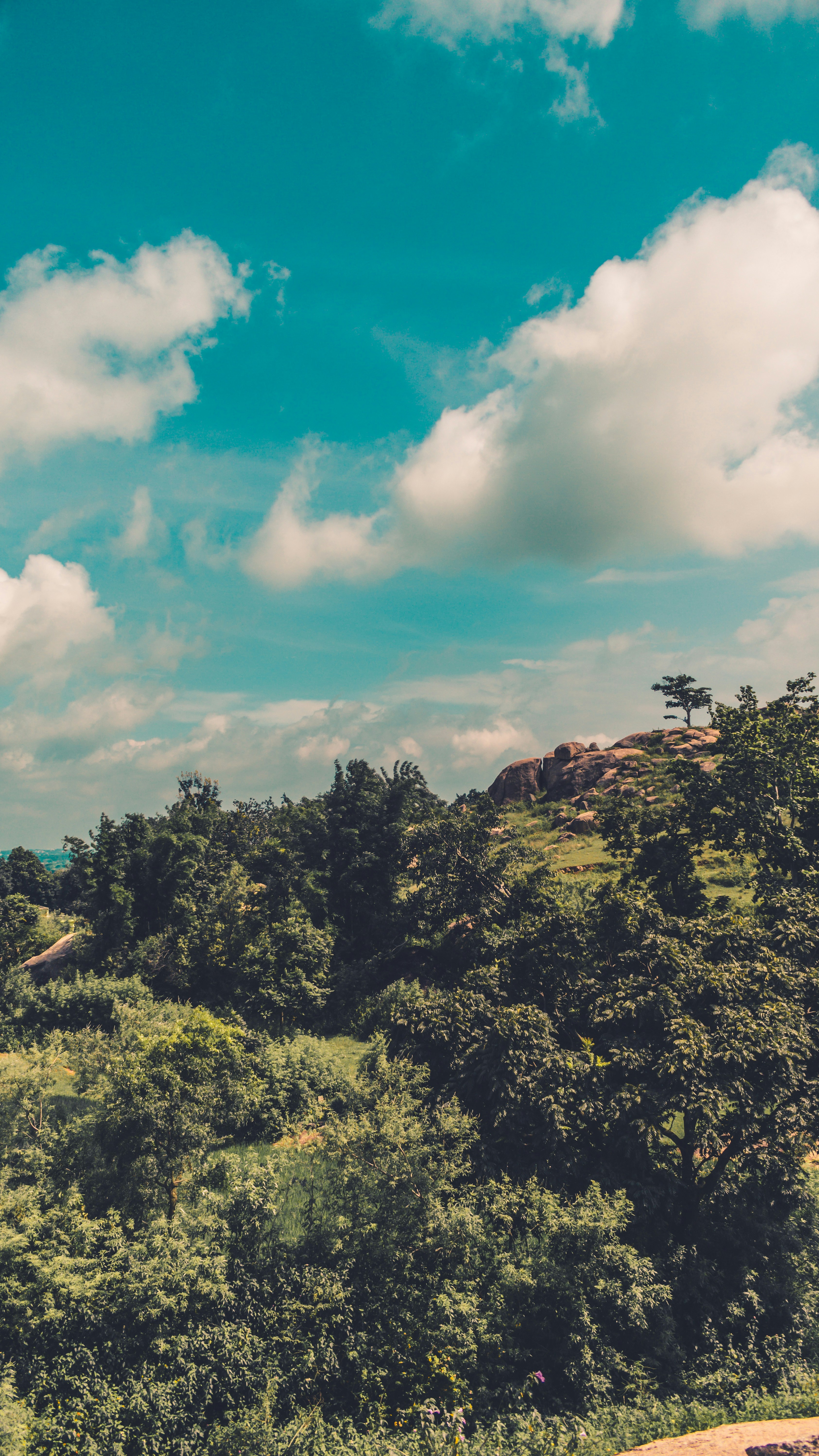 Photo by baraikshivam22