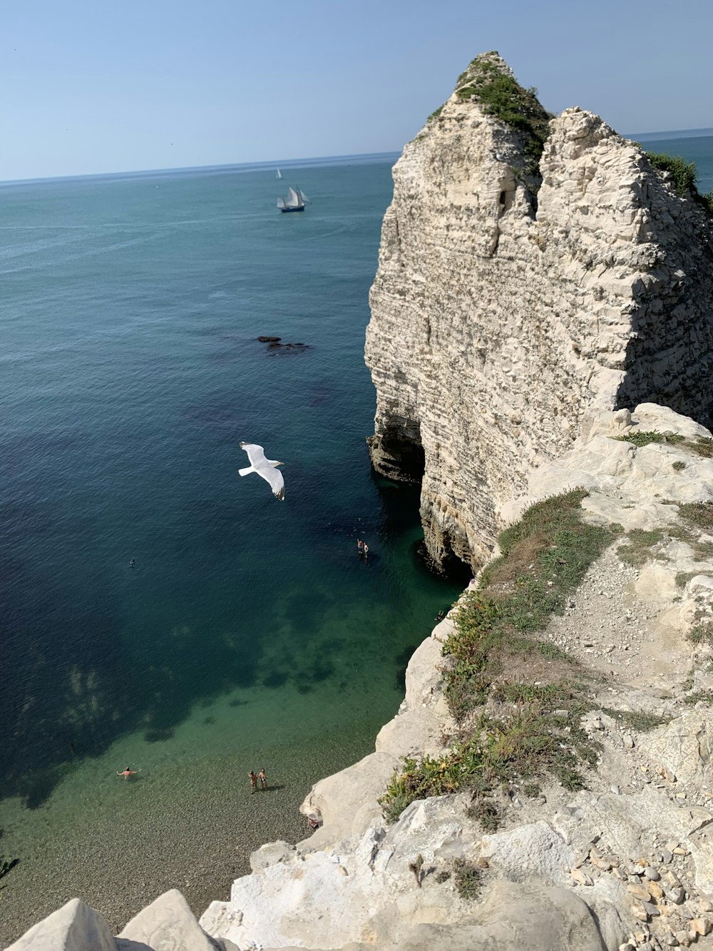 Weißer Vogel, der tagsüber über das Meer fliegt