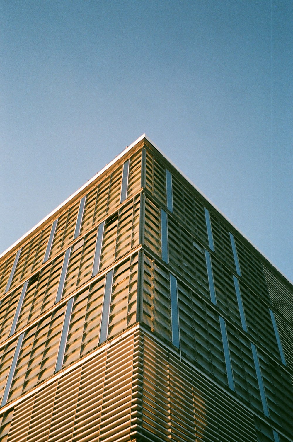 blue and white concrete building