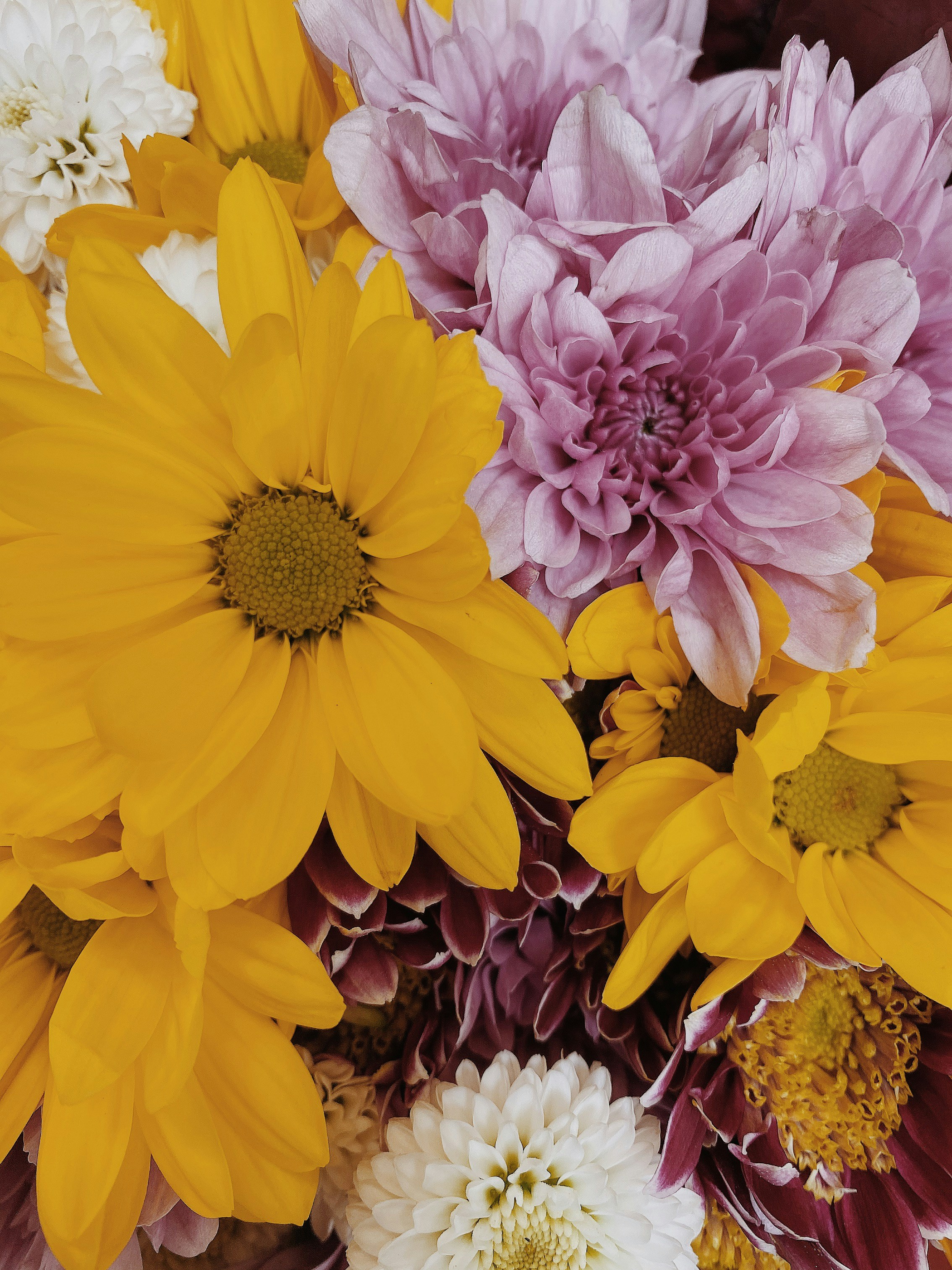 Photo by queenmissyevans