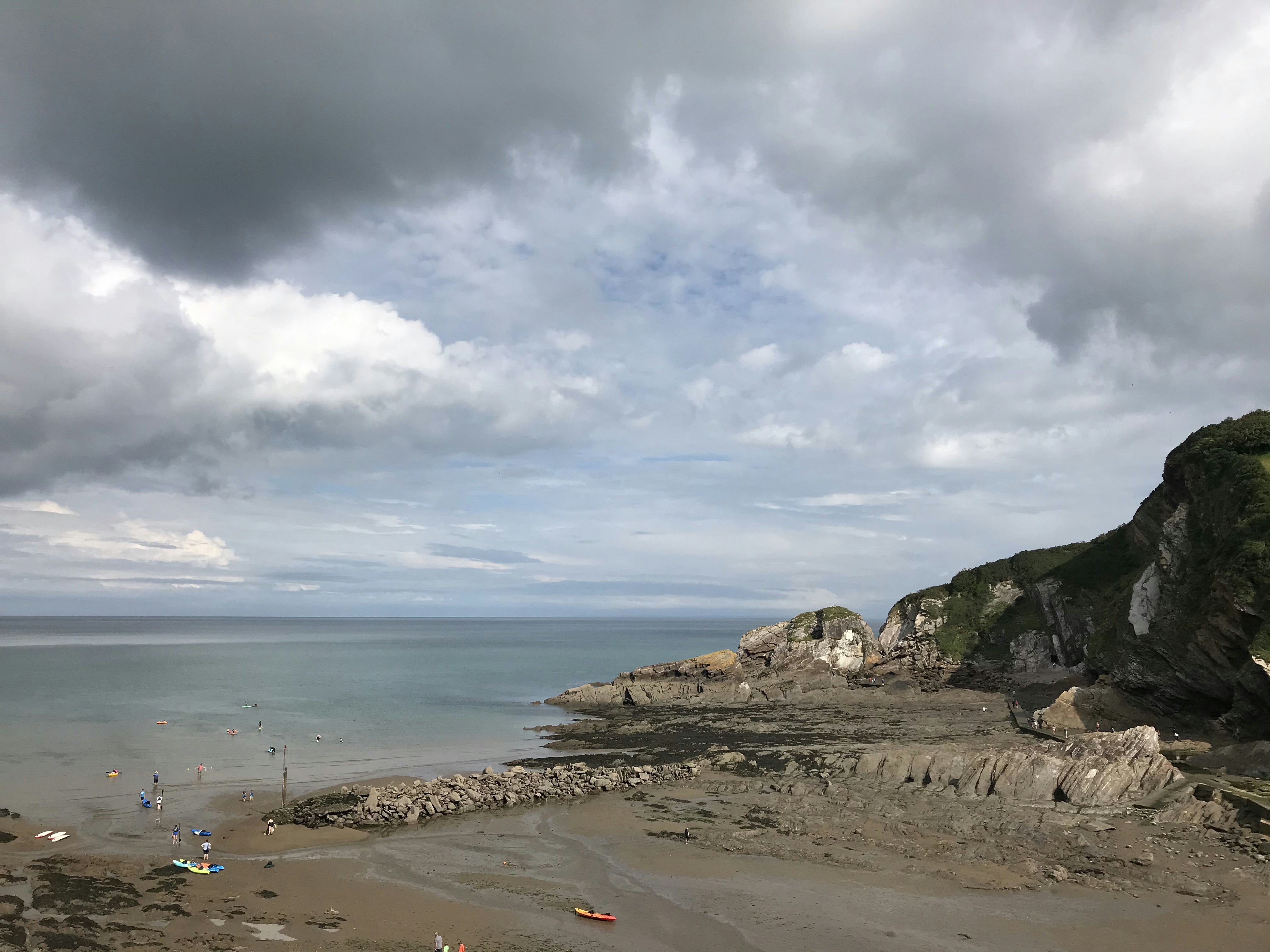 people on beach during daytime