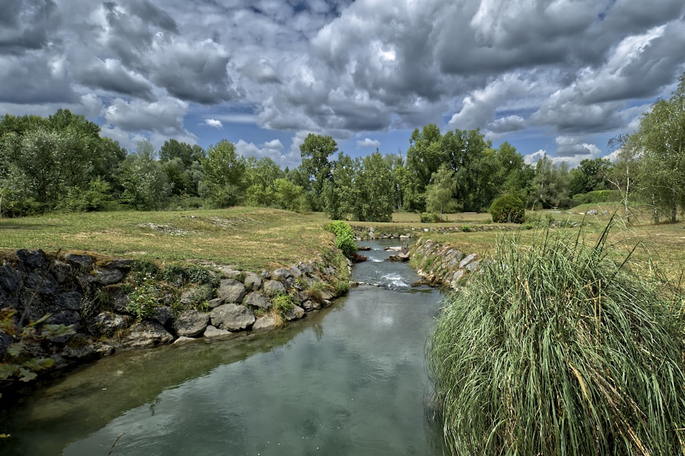 campo di erba verde vicino al fiume sotto nuvole bianche durante il giorno