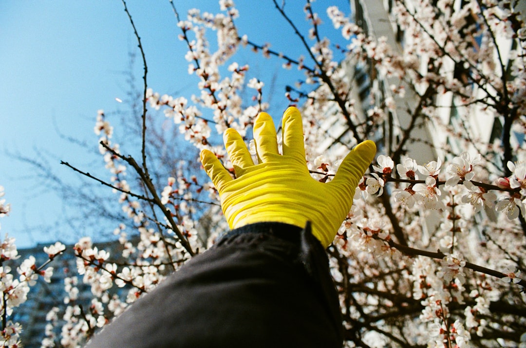 person in yellow gloves and black pants standing under blue sky during daytime