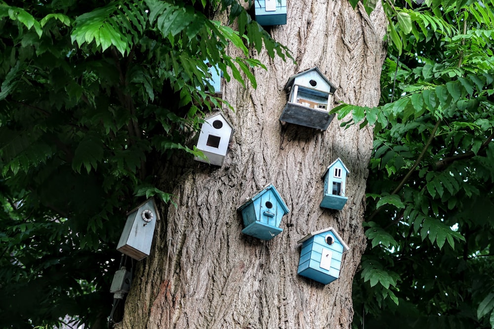 blue and white wooden house on brown tree trunk