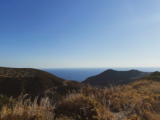 Rolling hills covered with dry grass lead to a view of the ocean horizon under a clear blue sky.