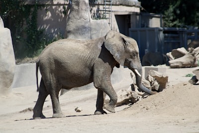 San Diego Zoo