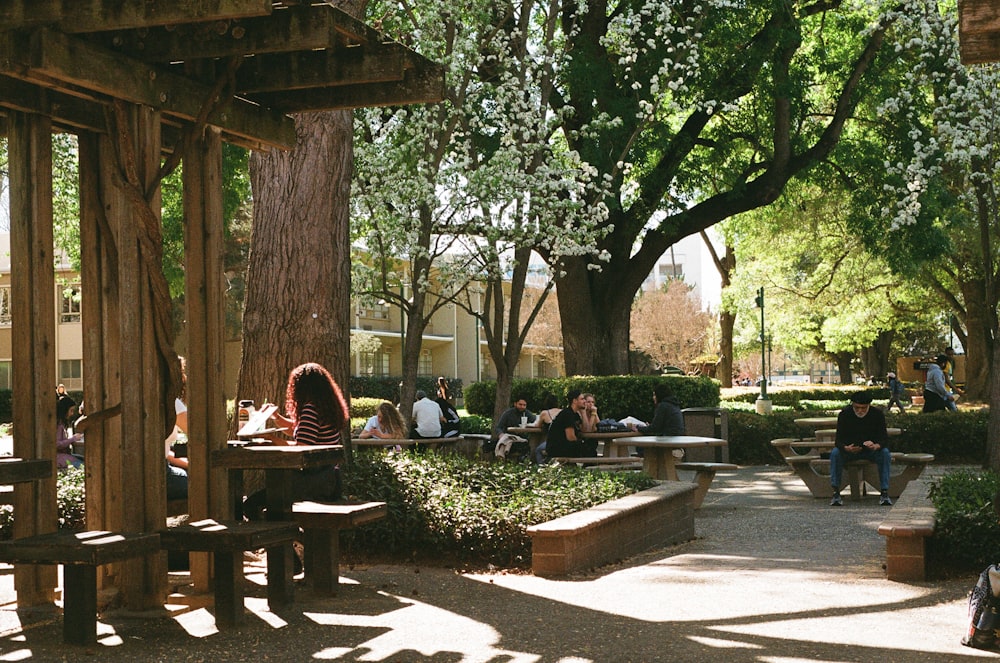 people sitting on bench under green trees during daytime