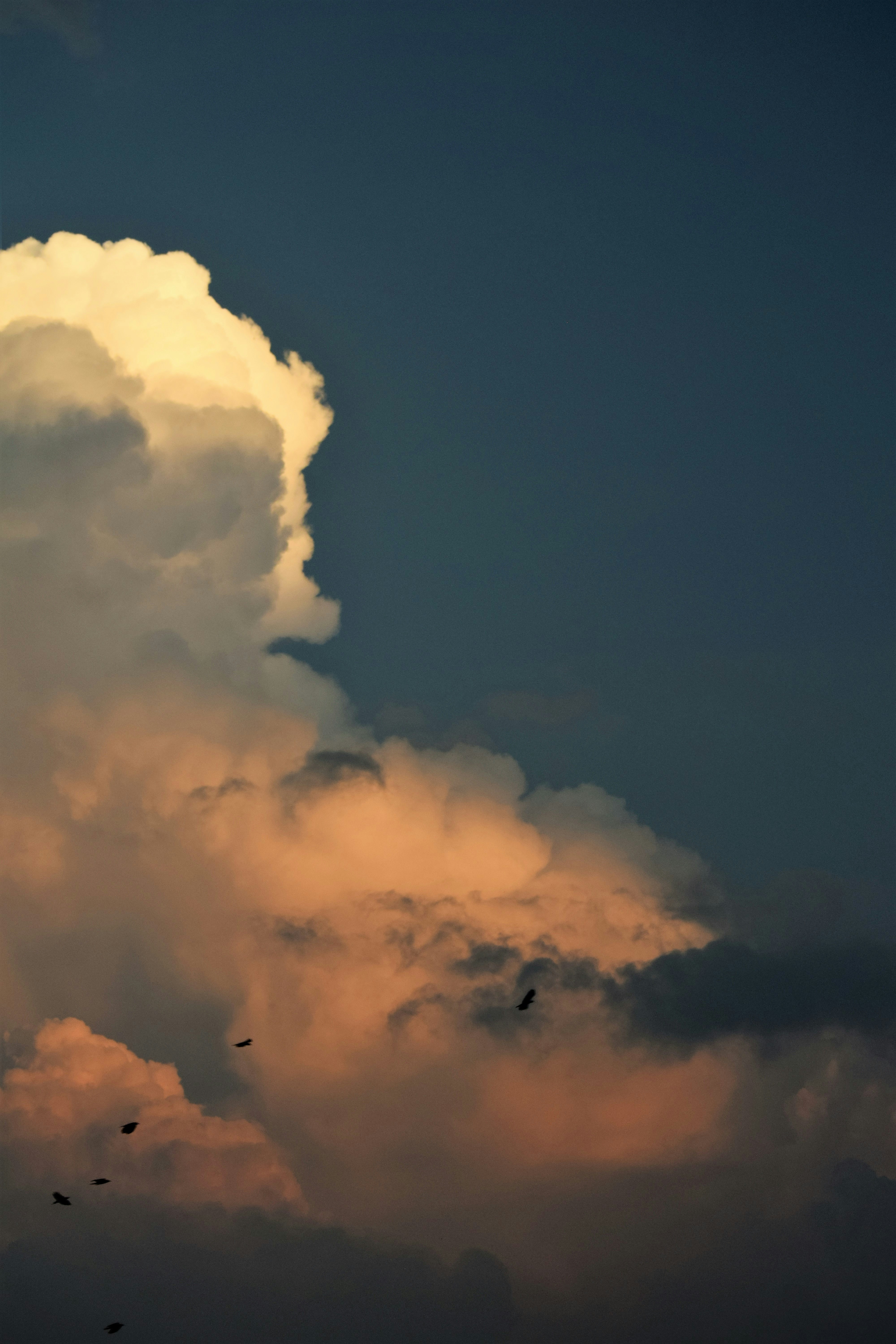 Photo by harshita_jain