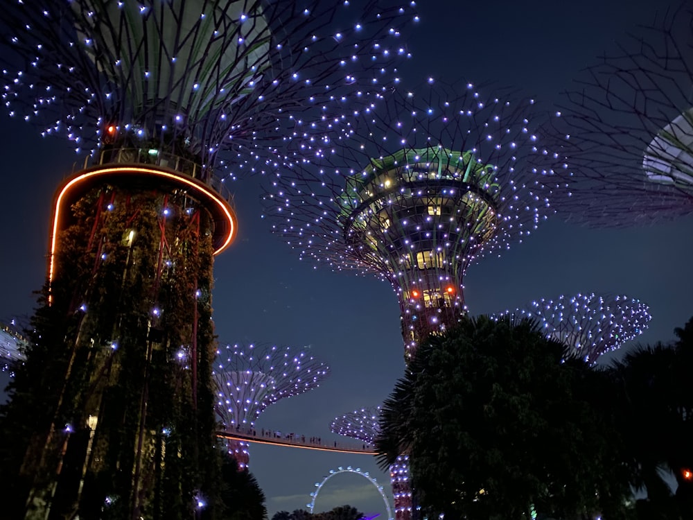 tour lumineuse marron et violet