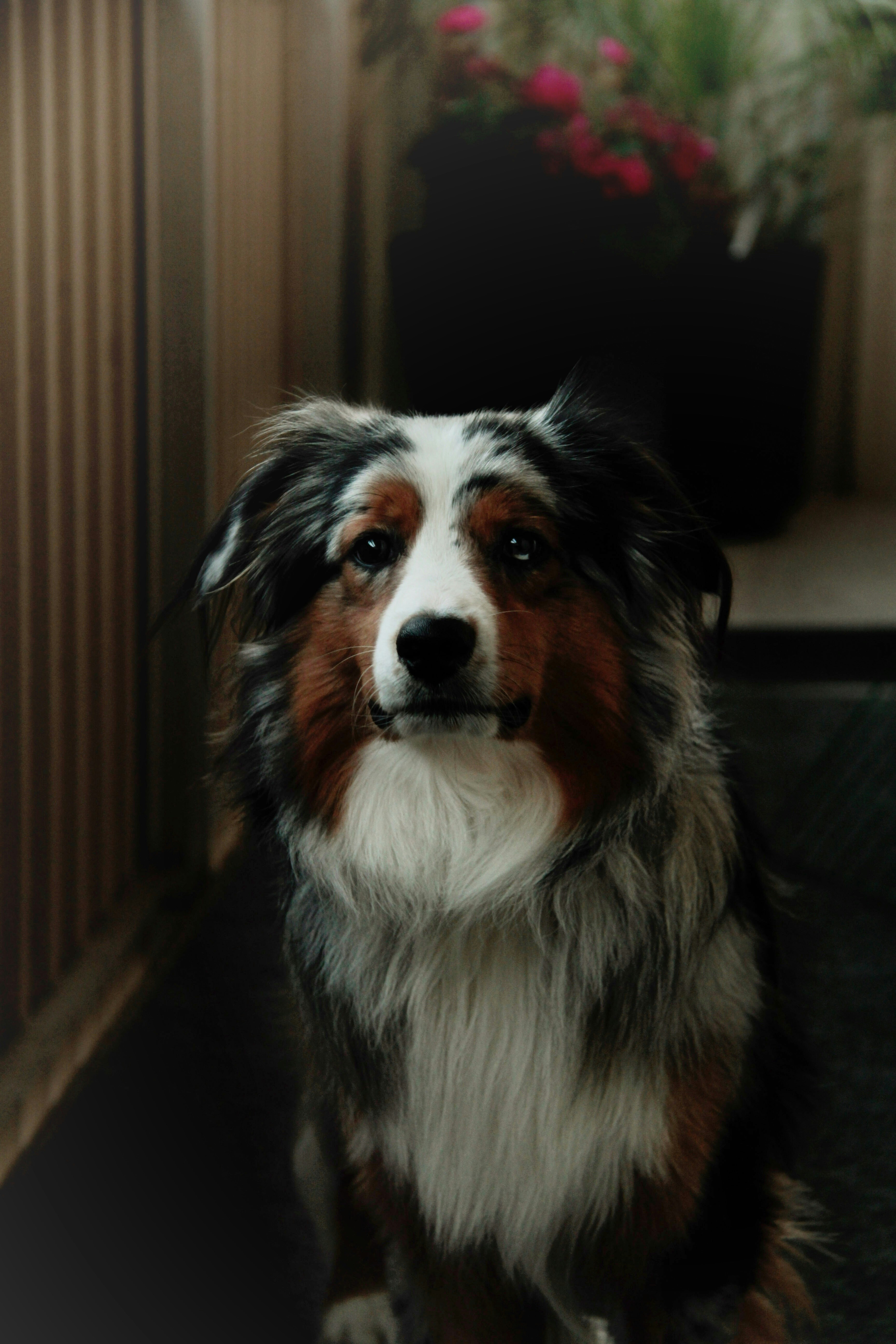 Photo by malinstrandvall