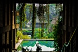 A tranquil setting featuring a lush, green environment with cascading plants and a reflection pool. Sunlight filters through the foliage, creating a serene, inviting atmosphere within a partially open, architectural structure.