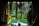 A tranquil setting featuring a lush, green environment with cascading plants and a reflection pool. Sunlight filters through the foliage, creating a serene, inviting atmosphere within a partially open, architectural structure.
