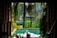 A serene spa setting with natural light and green plants, conveying relaxation and beauty.