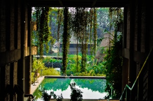 A tranquil setting featuring a lush, green environment with cascading plants and a reflection pool. Sunlight filters through the foliage, creating a serene, inviting atmosphere within a partially open, architectural structure.