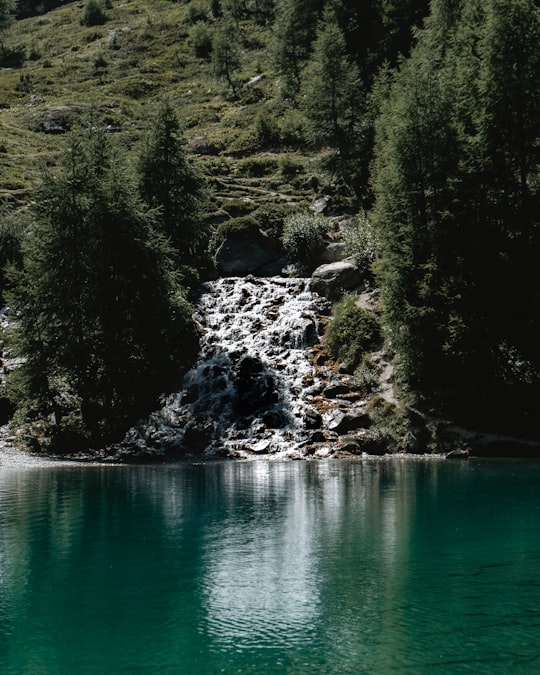 green trees beside body of water during daytime in La Gouille Switzerland