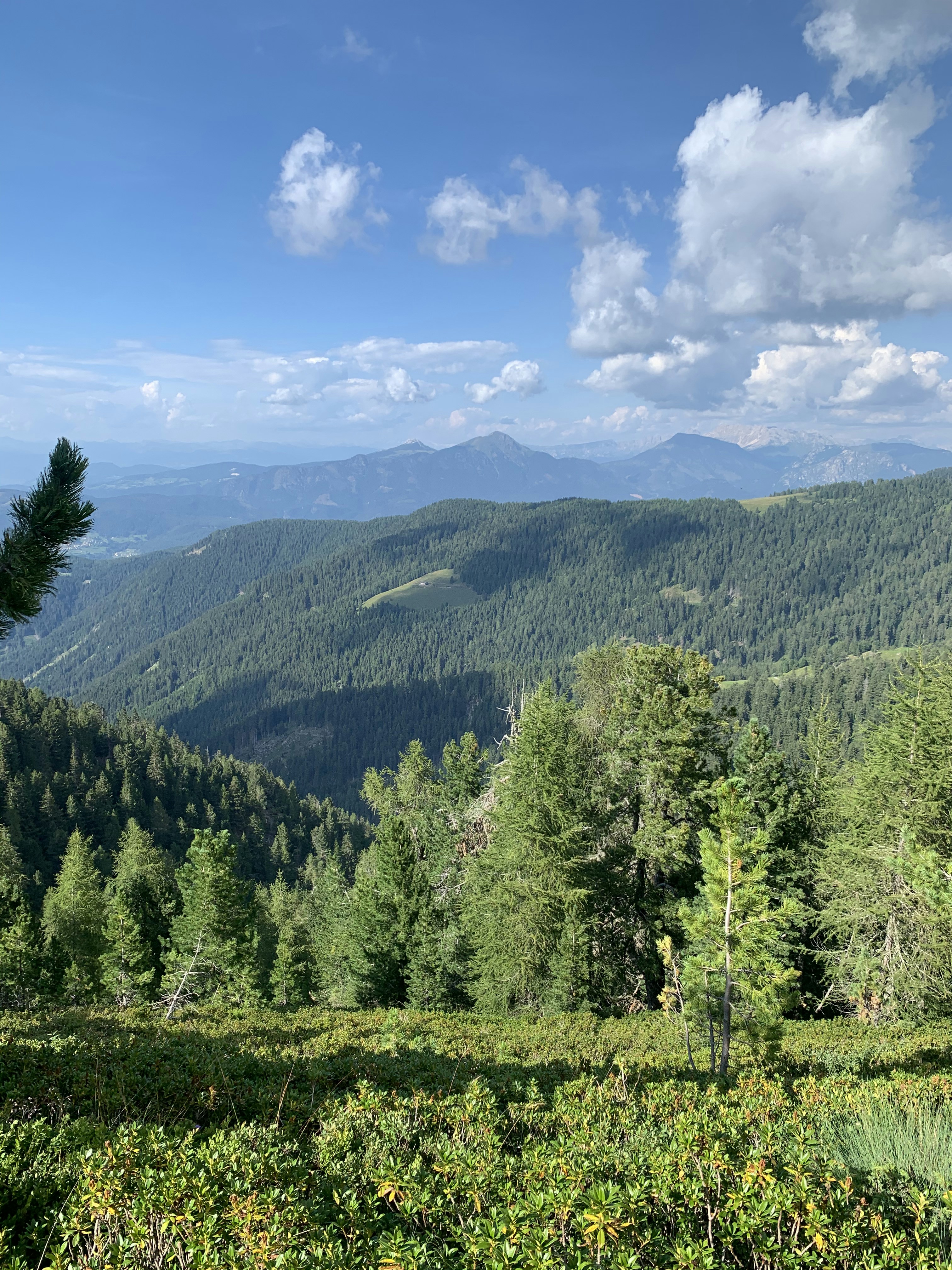 Photo by benedettaland