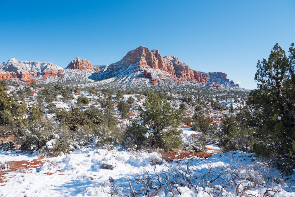 brown and white mountain under blue sky during daytime