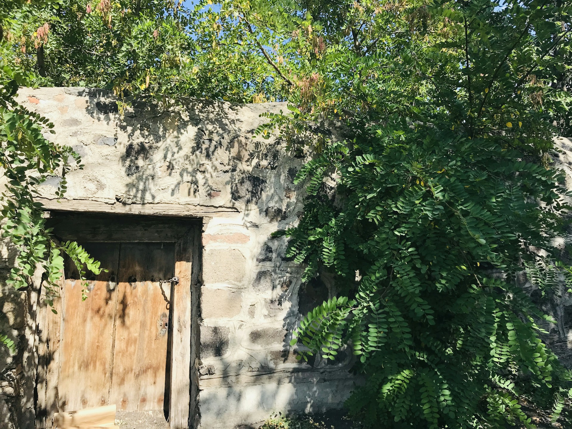 gray computer monitor