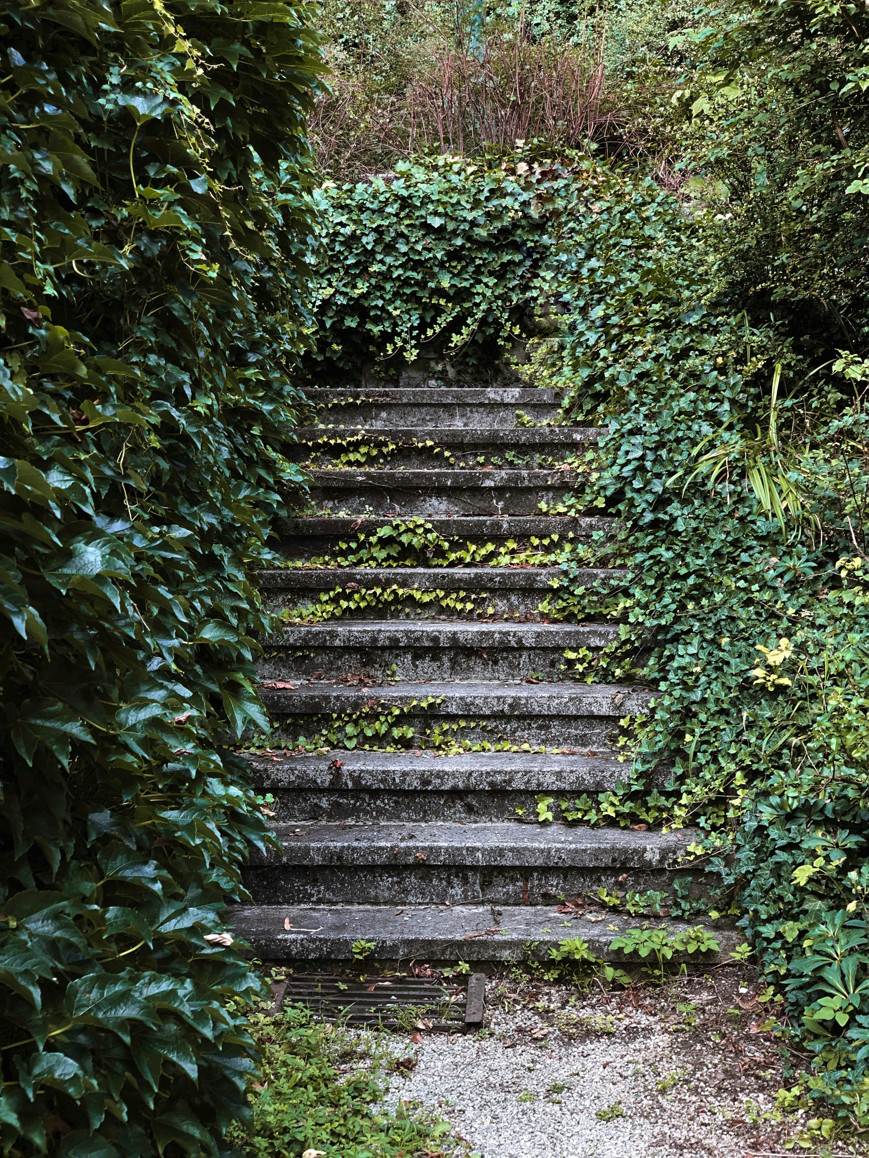 Photo by kekse_und_ich