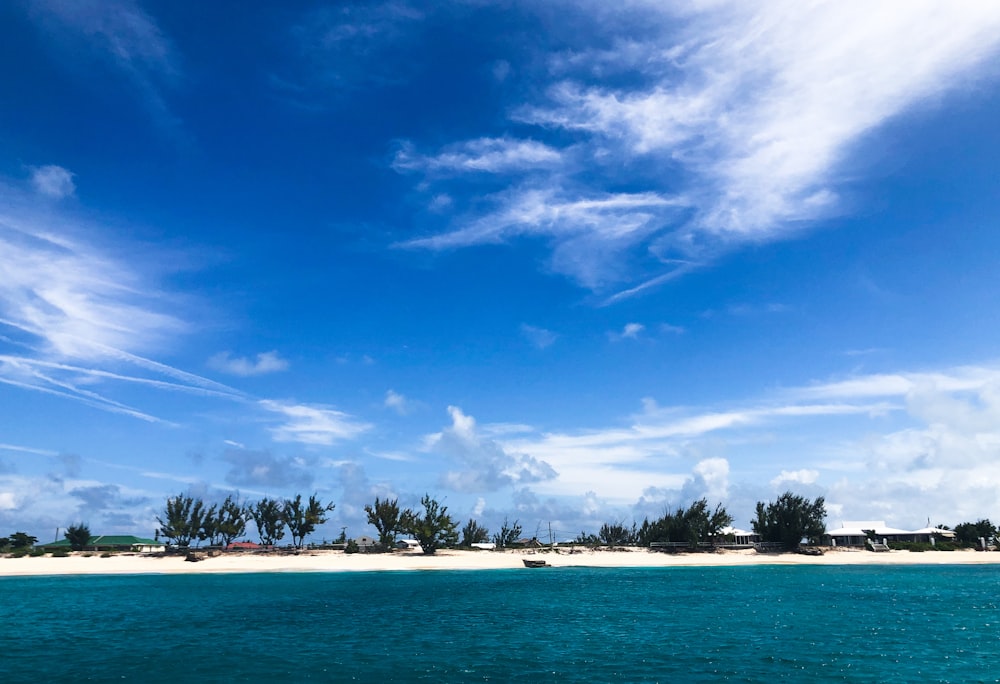 green trees on island under blue sky during daytime