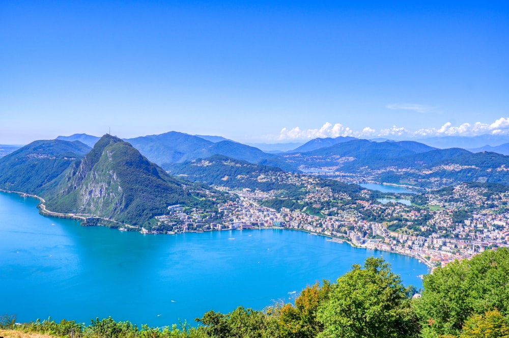 alberi verdi vicino allo specchio d'acqua durante il giorno