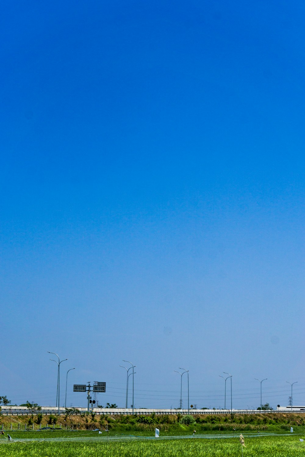 flock of birds flying under blue sky during daytime