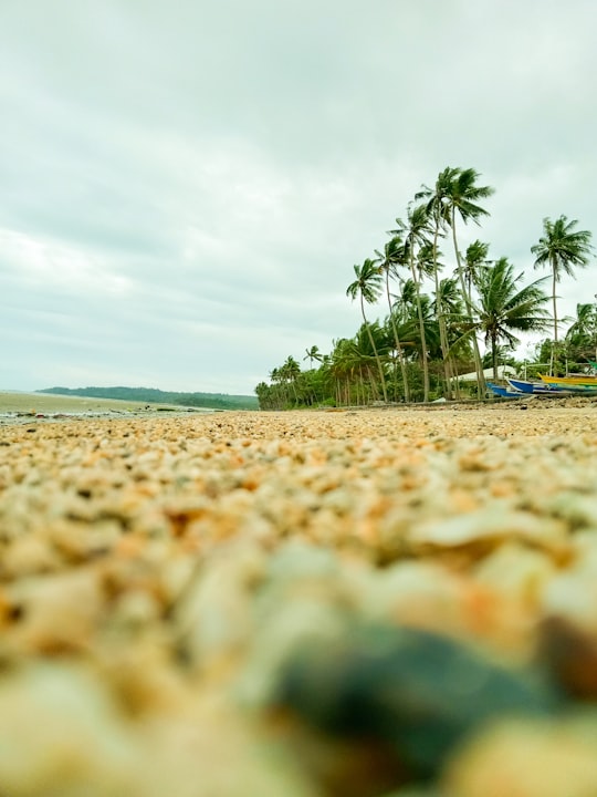 brown and white rocks on beach during daytime in Navalas Philippines