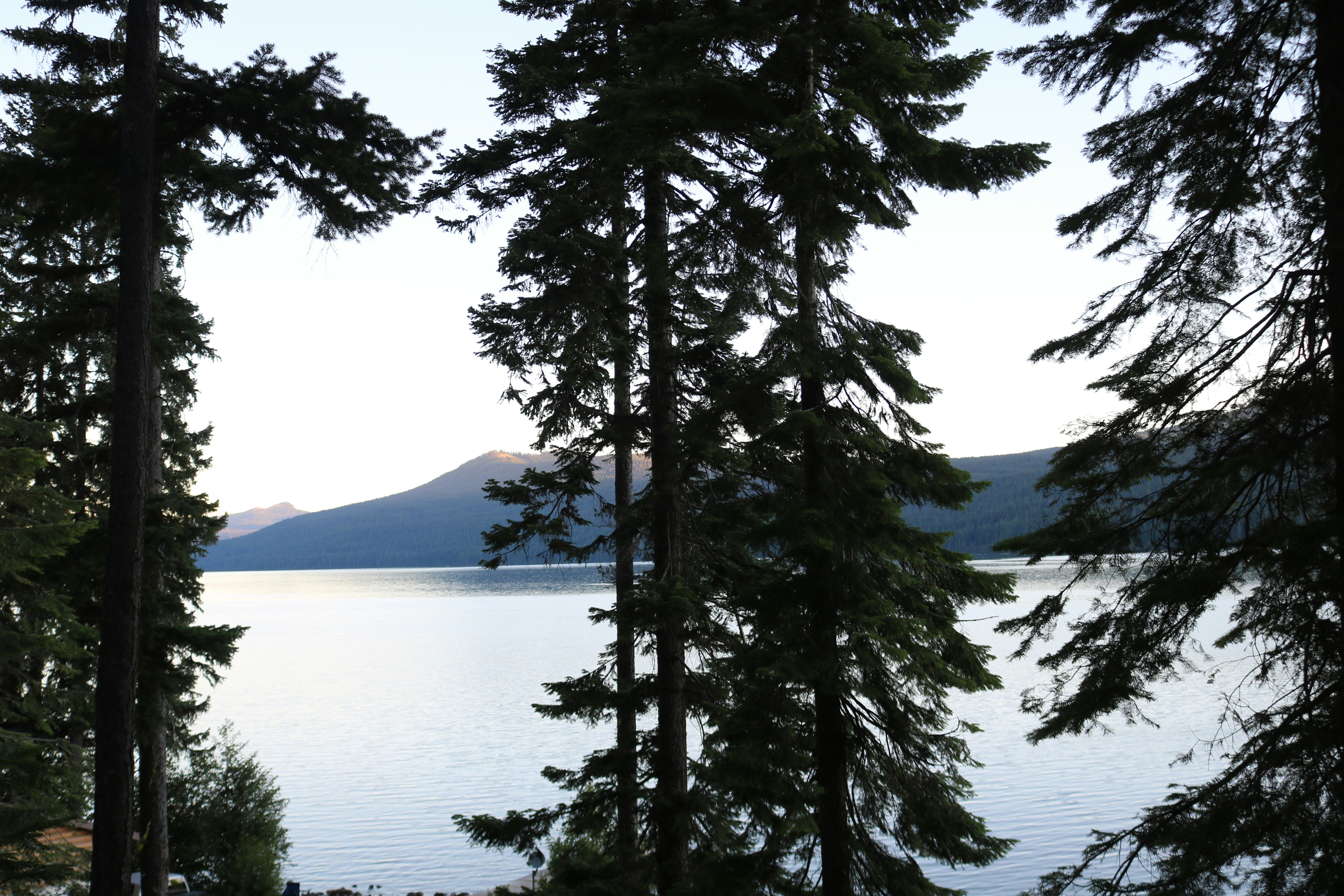 Photo by davidjboozer