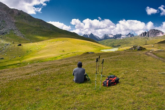 man in gray jacket sitting on green grass field during daytime in Passo San Giacomo Switzerland