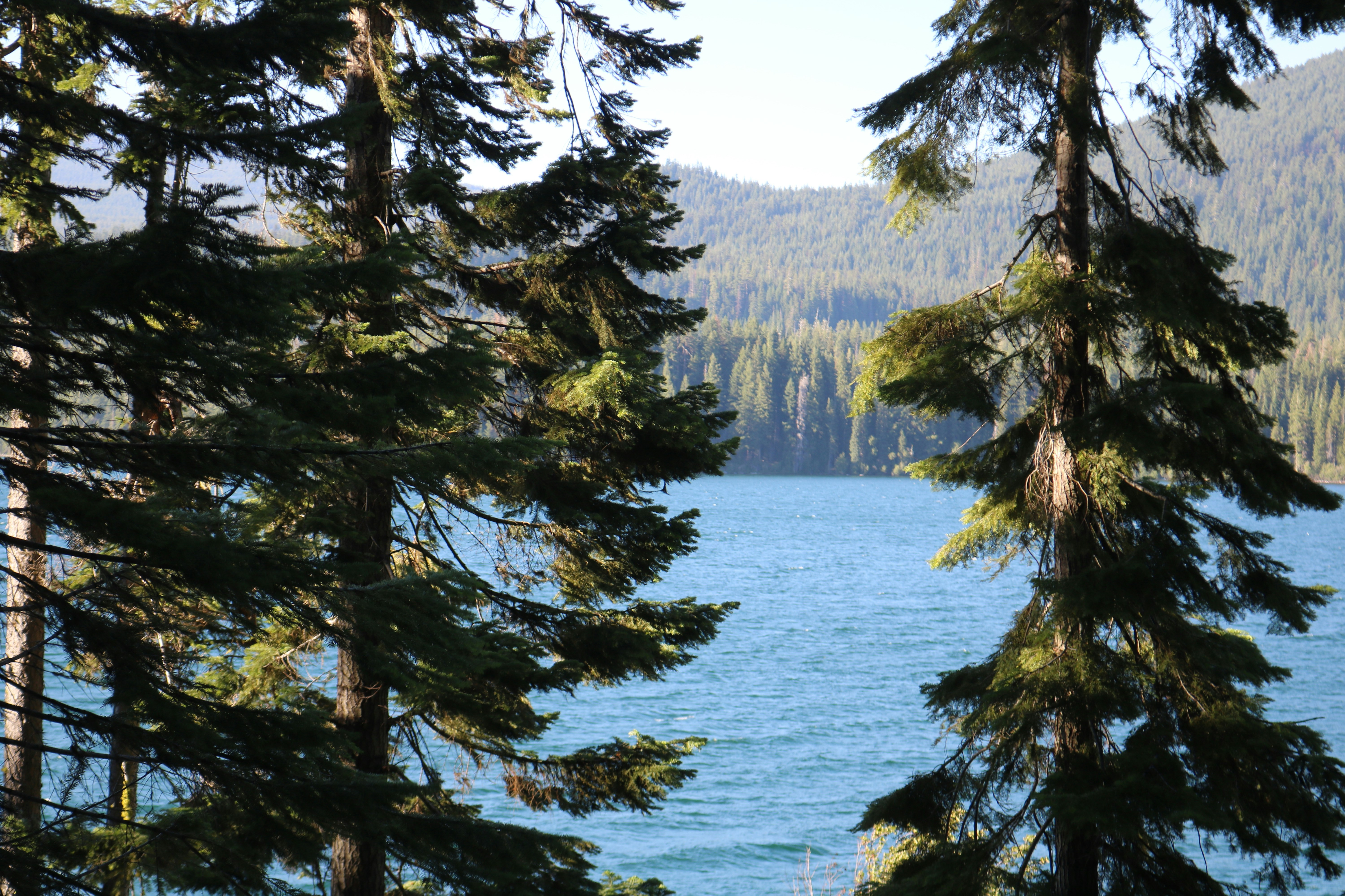 Photo by davidjboozer