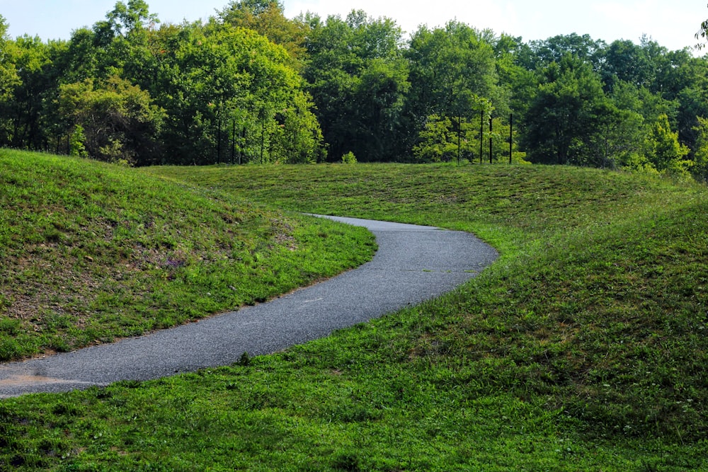 green grass field with trees