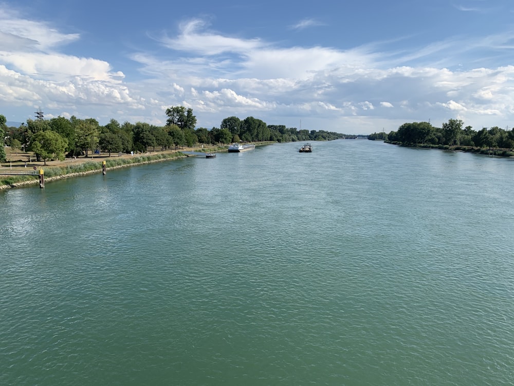 green trees beside body of water under blue sky during daytime