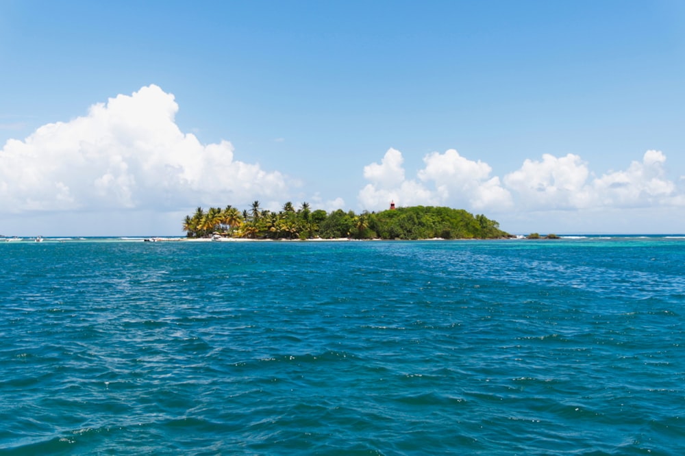 Isla verde rodeada de cuerpo de agua bajo el cielo azul durante el día