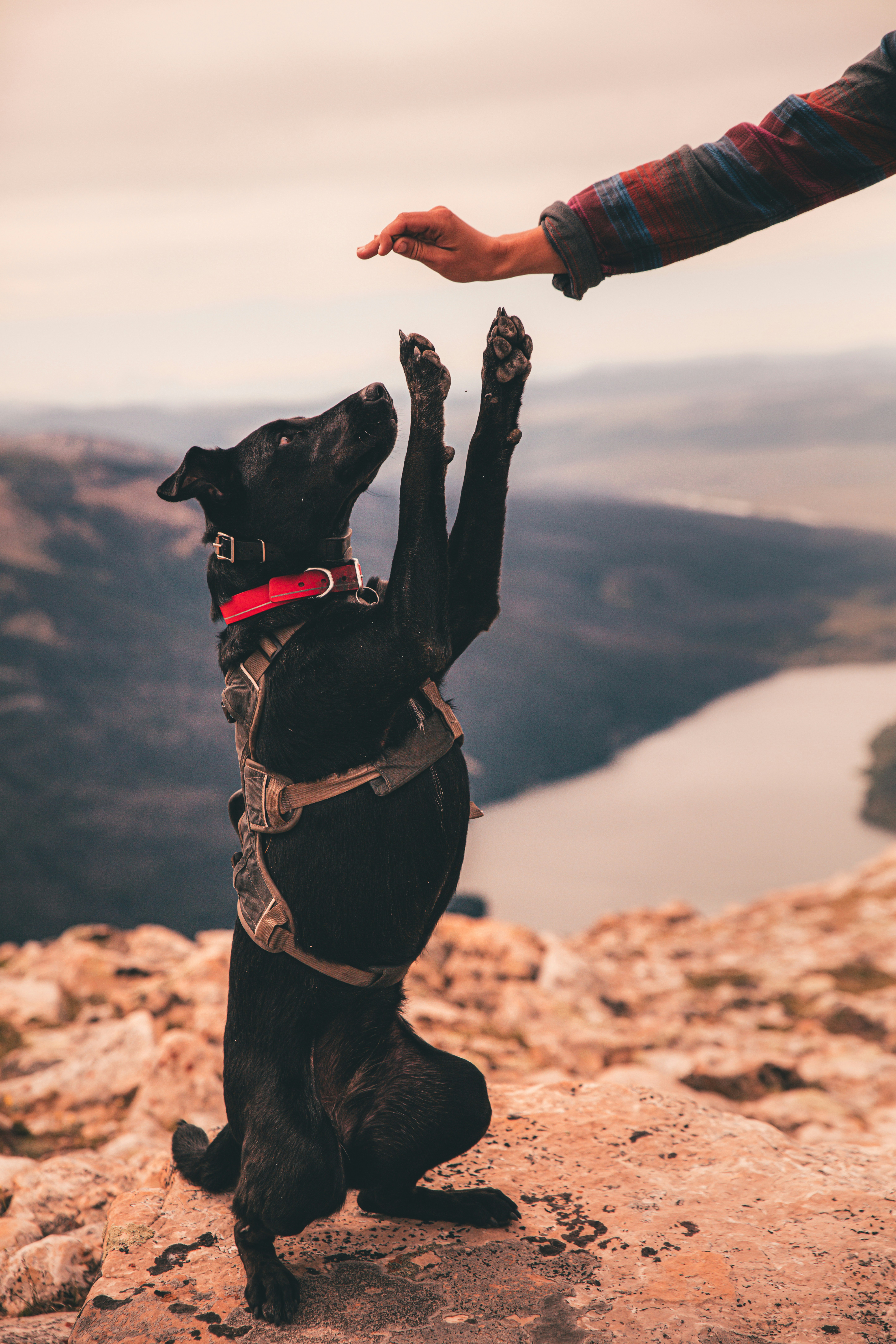 Photo by worldsbetweenlines