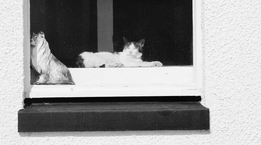 grayscale photo of cat lying on floor