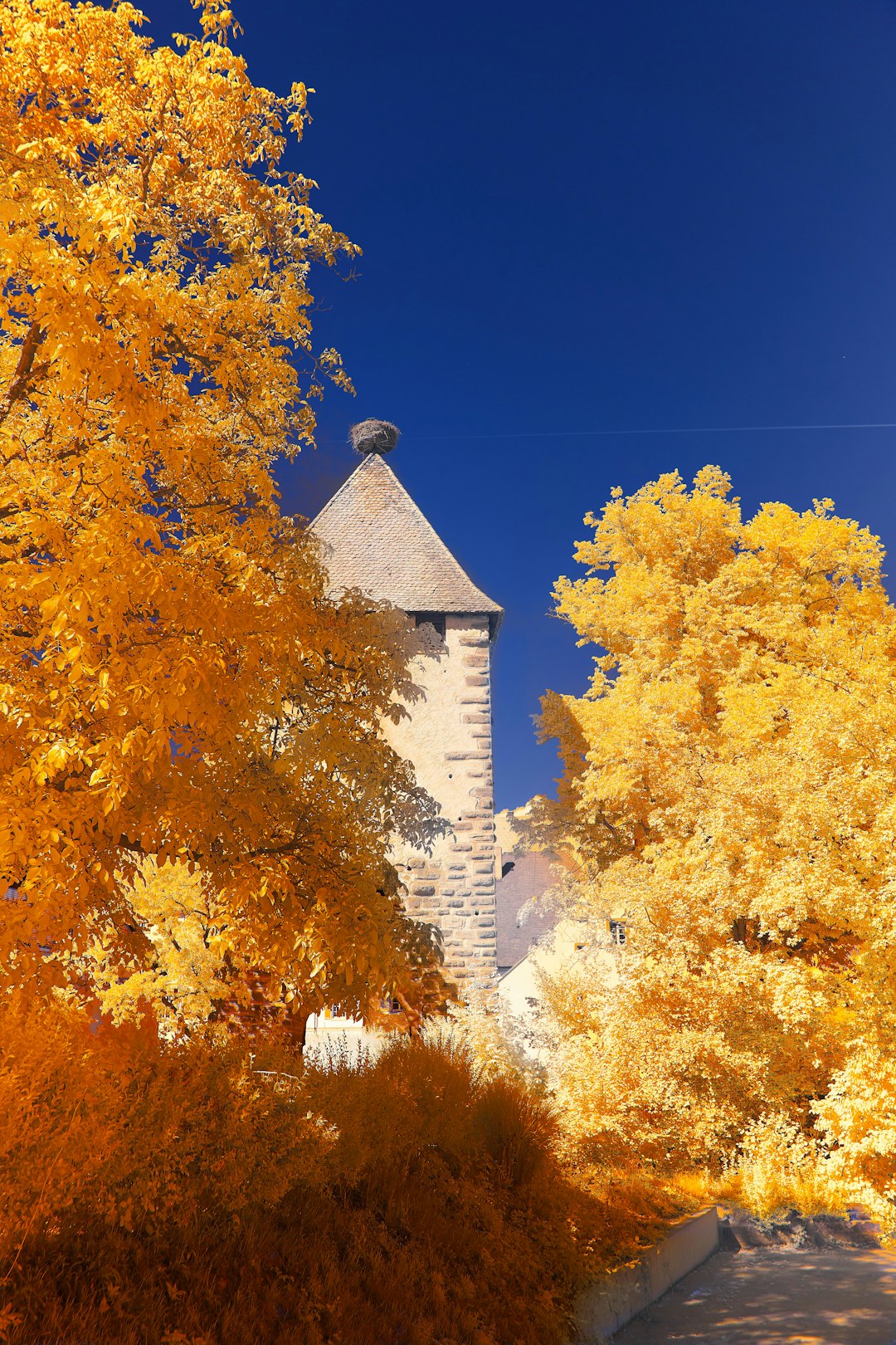 white and gray concrete building near yellow and brown trees under blue sky during daytime