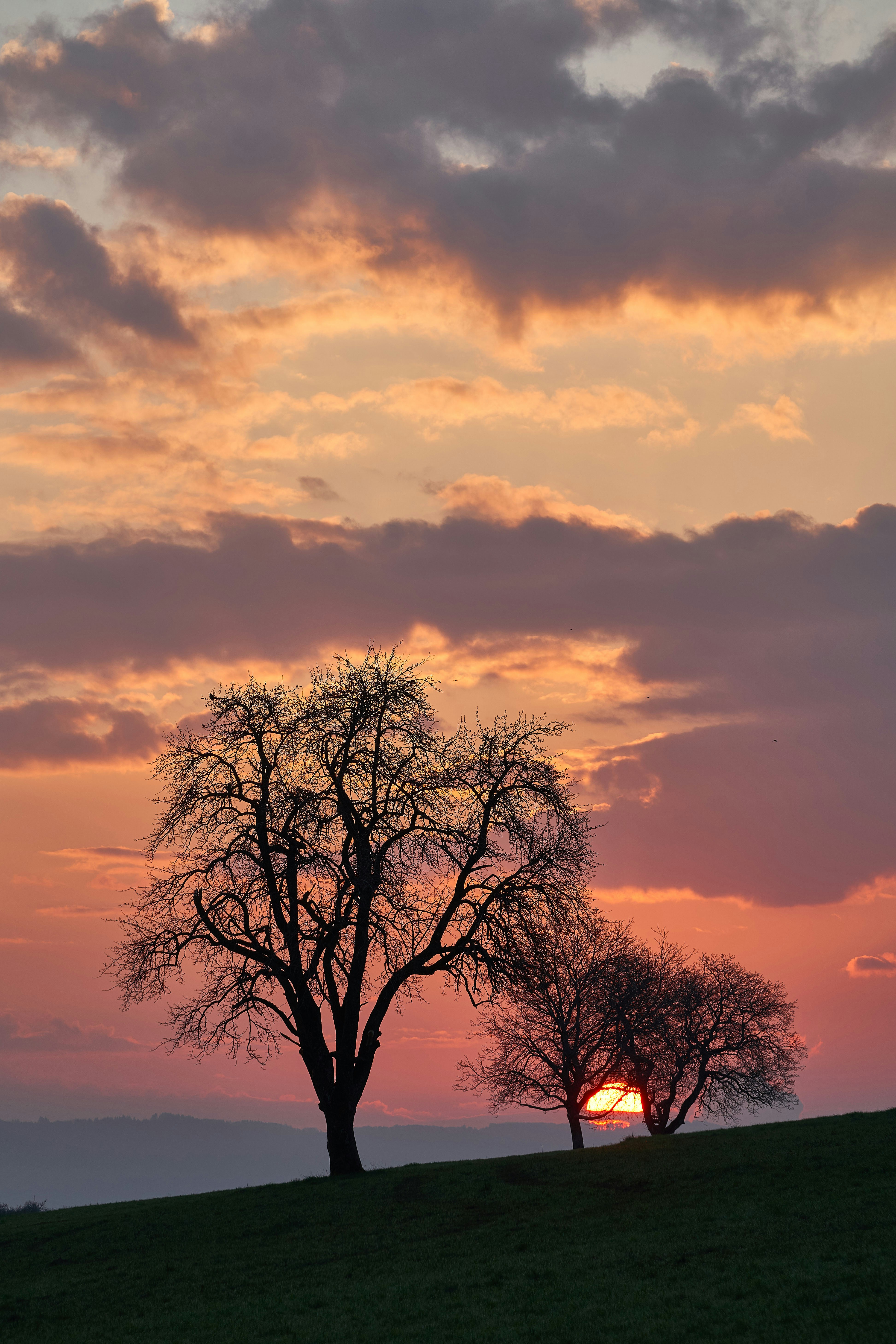 Photo by wolfgang_hasselmann