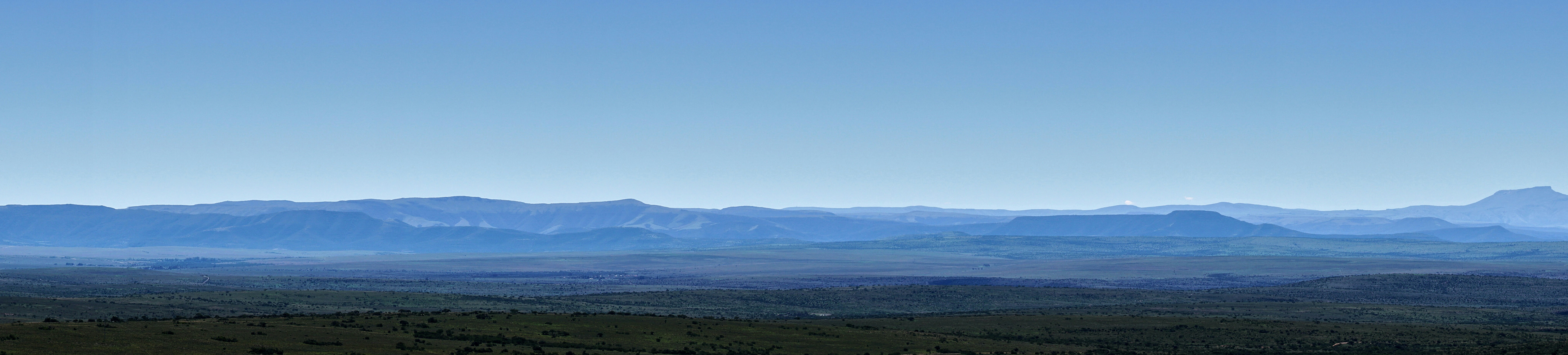 Photo by wolfgang_hasselmann