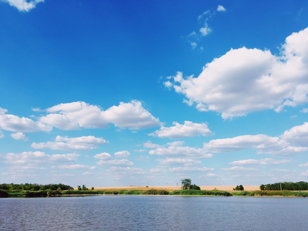 green trees beside body of water under blue sky and white clouds during daytime