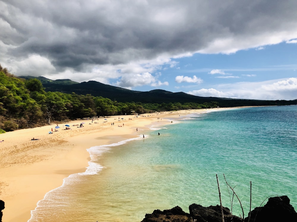 people on beach during daytime