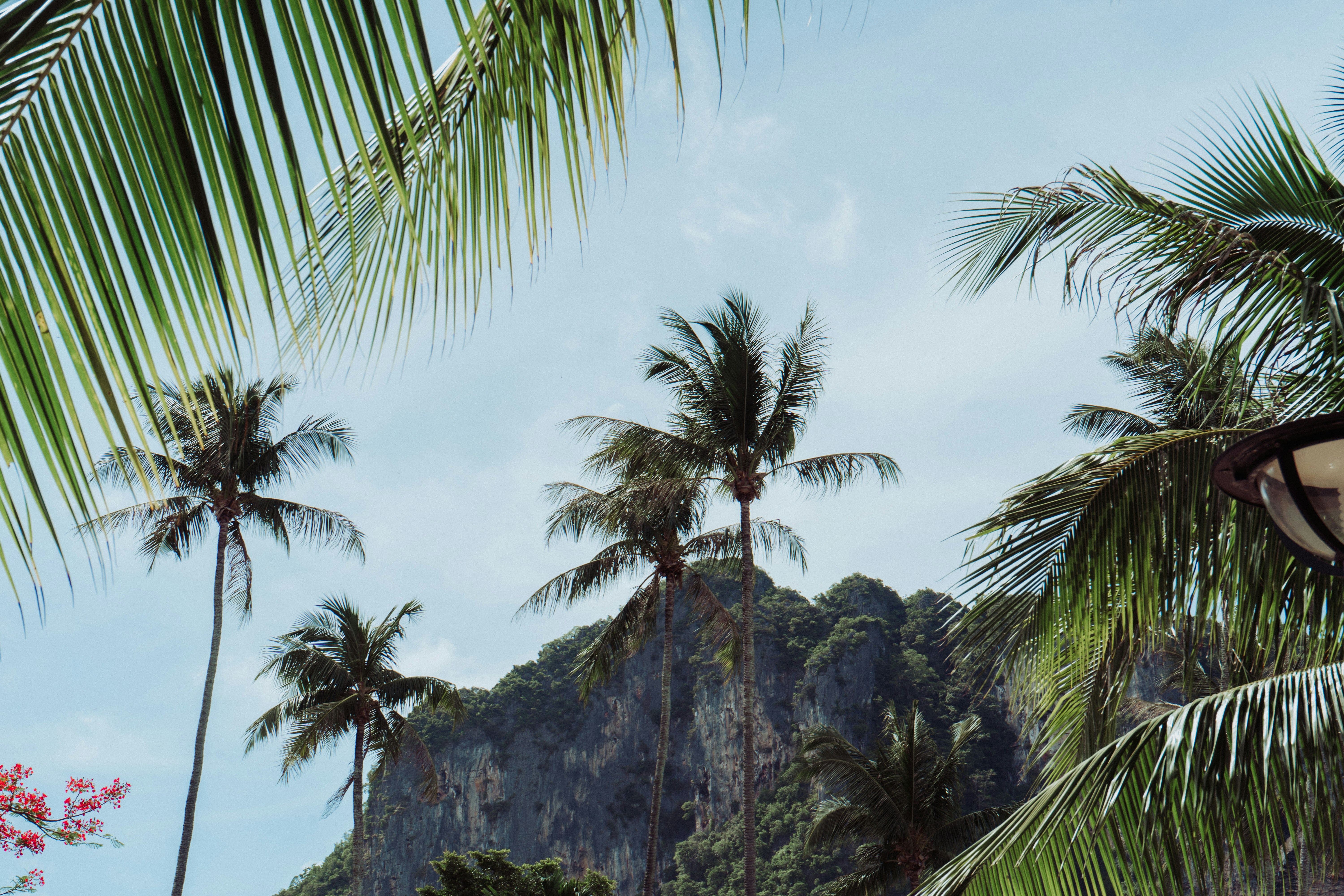 Photo by nicolasjleclercq