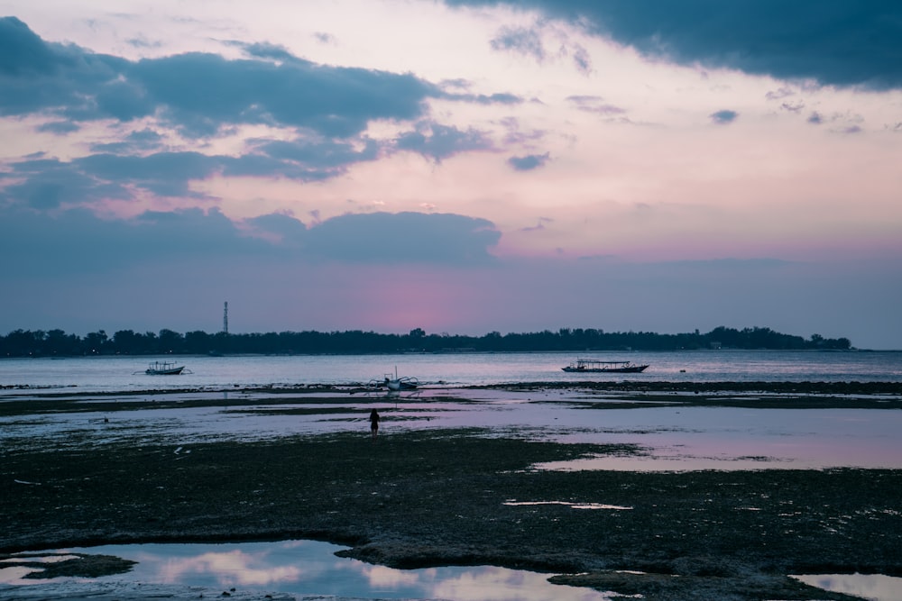 silhouette of people on beach during sunset