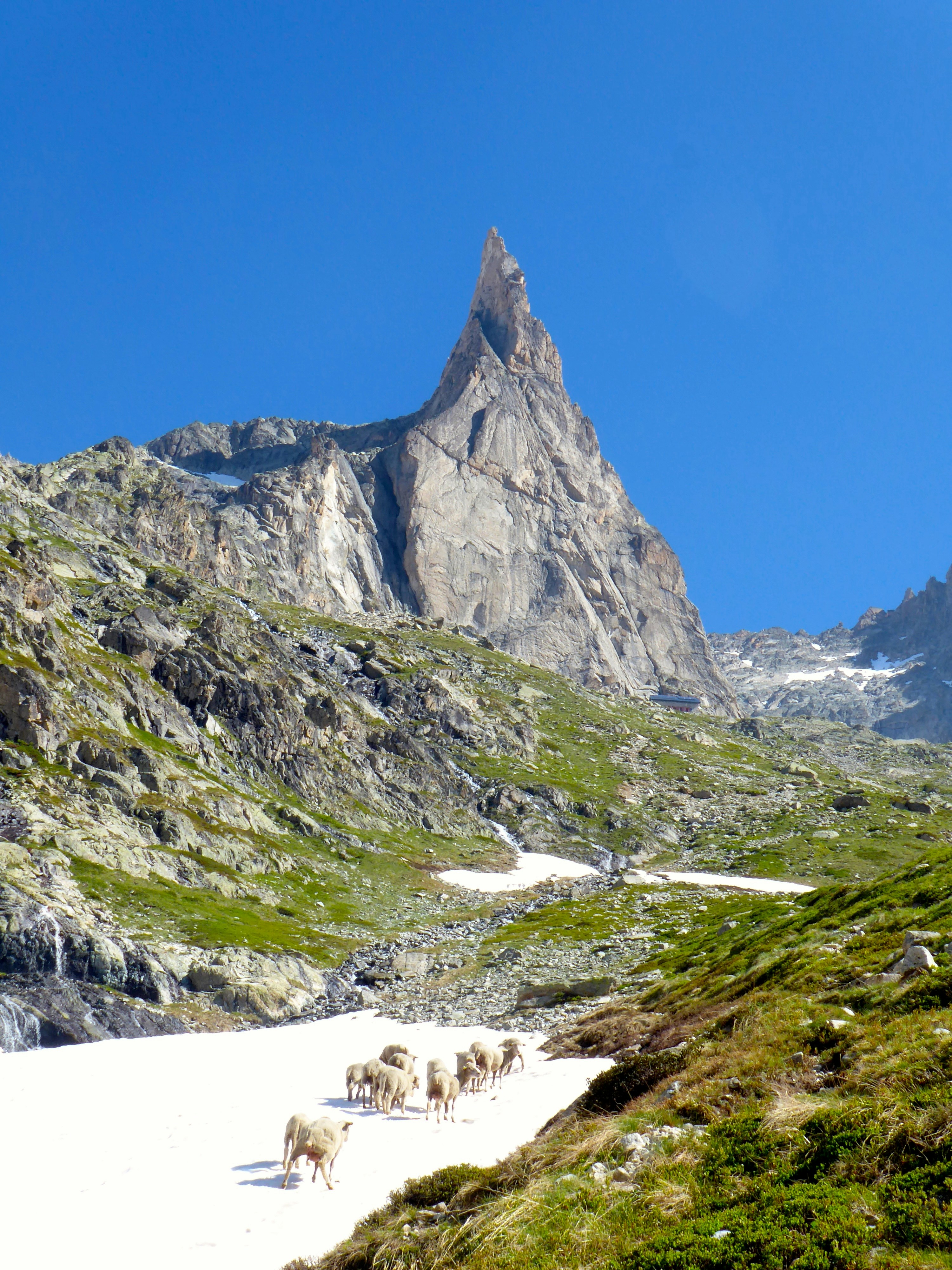 Crowd climbing to the Dibona peak - France