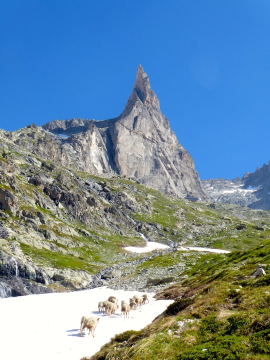 gray rocky mountain under blue sky during daytime in Aiguille Dibona France