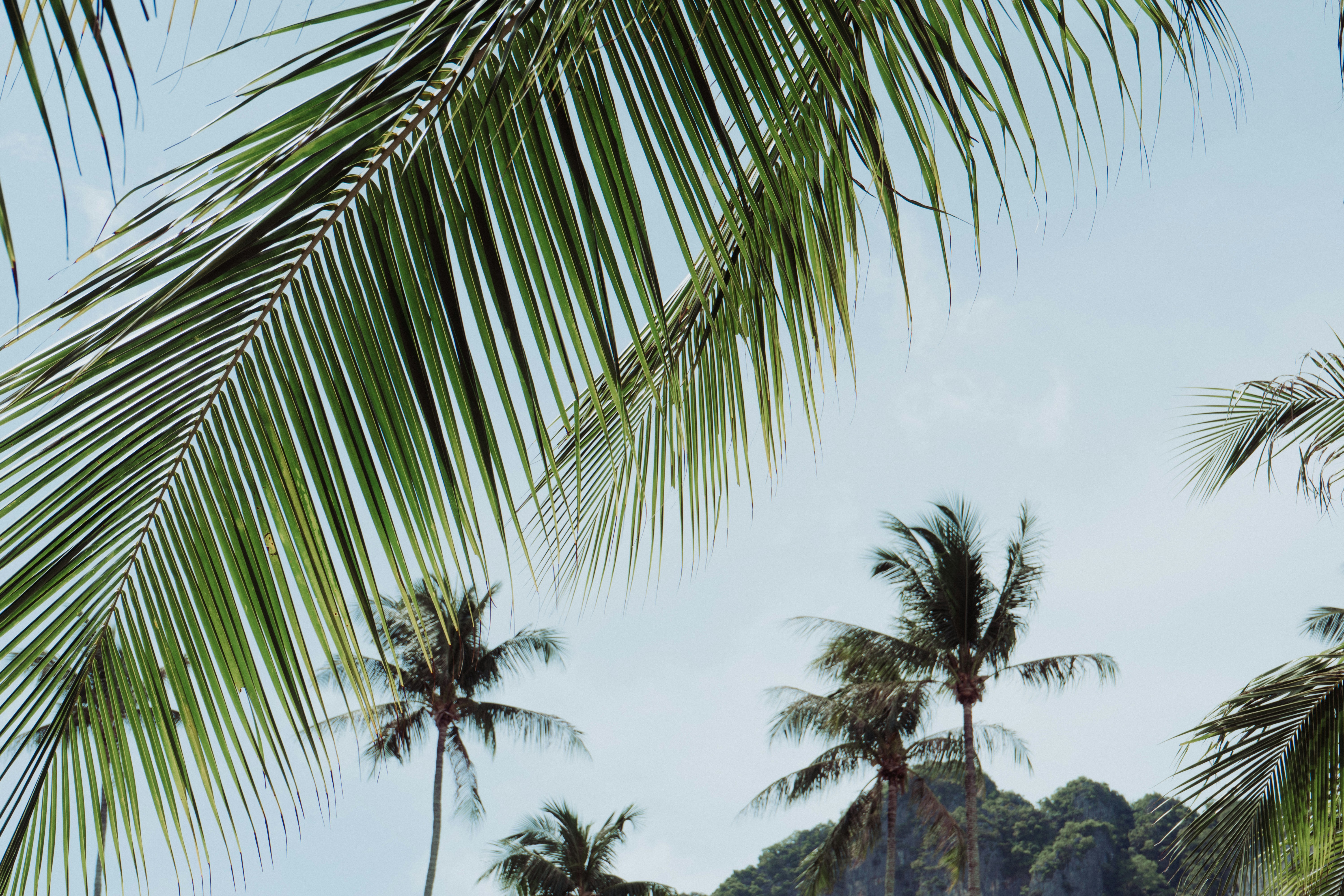 Photo by nicolasjleclercq