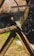 A close-up view of a saw cutting through a thick piece of wood, with sawdust particles scattering in the air. The rusty metallic saw is supported by a sturdy stand, and natural lighting enhances the texture of the wood and metal.