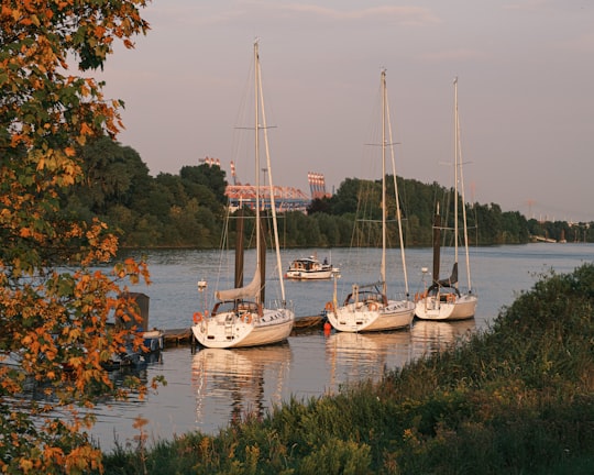 white sail boat on body of water during daytime in Finkenwerder Germany