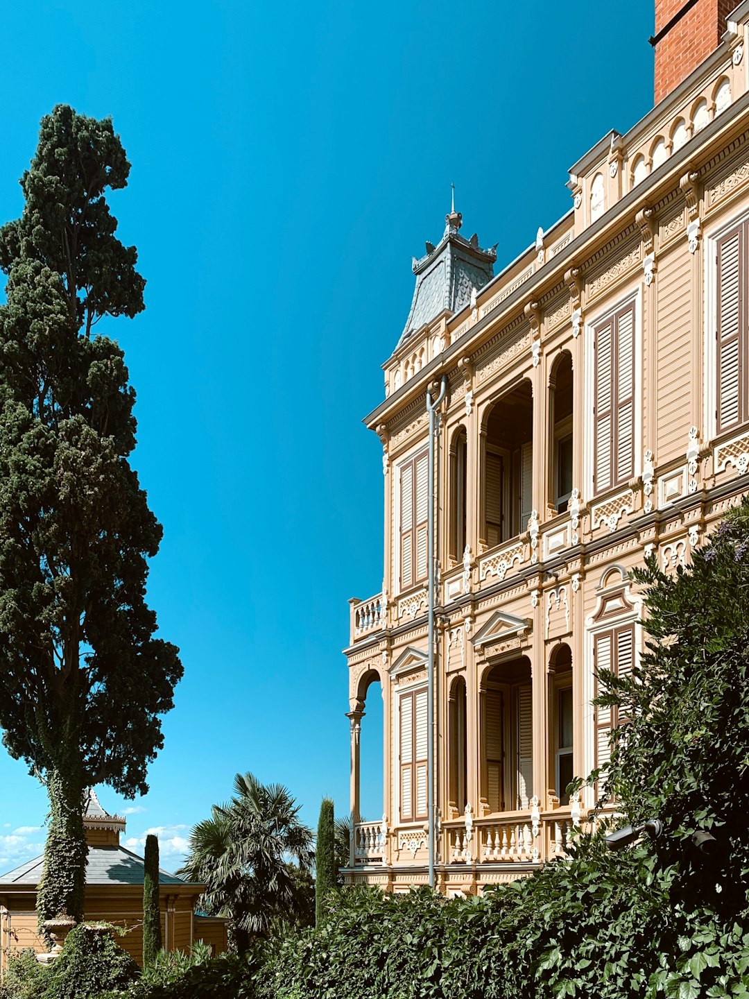 Landmark photo spot Büyükada Dil Burnu Tabiat Parkı