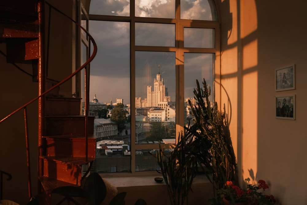 green plant near glass window